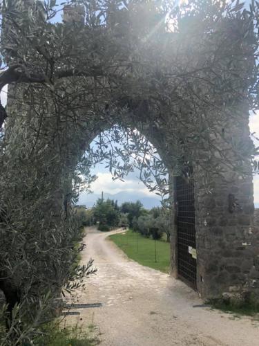 il-castello-0025