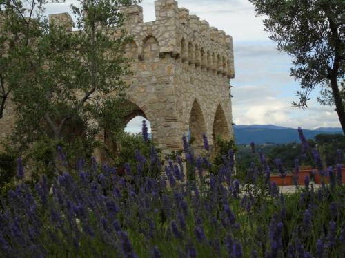 il-castello-0260